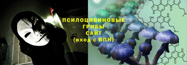 гидропоника Алзамай