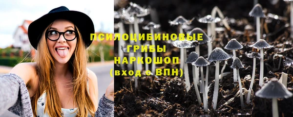 эйфоретик Алексин