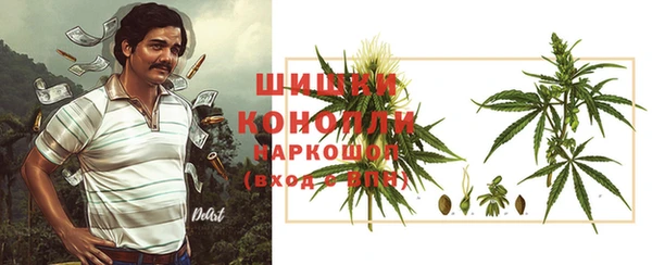 гидропоника Алзамай
