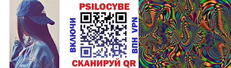 купить закладку  Еманжелинск  Псилоцибиновые грибы Psilocybe 