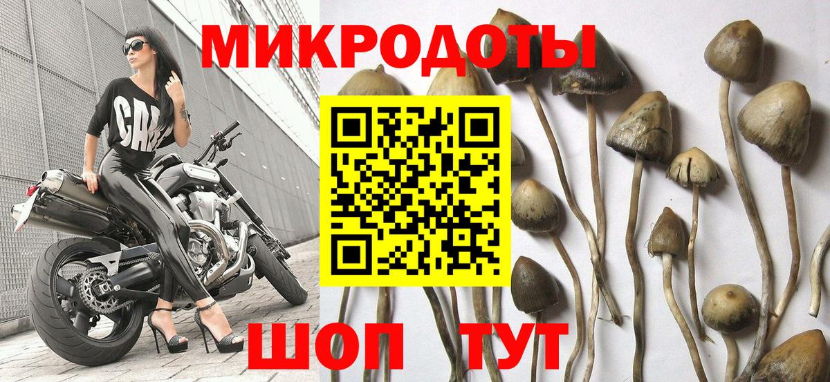 Псилоцибиновые грибы Psilocybine cubensis  Галлюциногенные грибы прущие грибы  Вход с VPN  Еманжелинск 